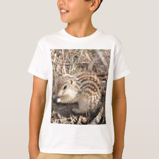 Tretton fodrad mald ekorre tee shirt