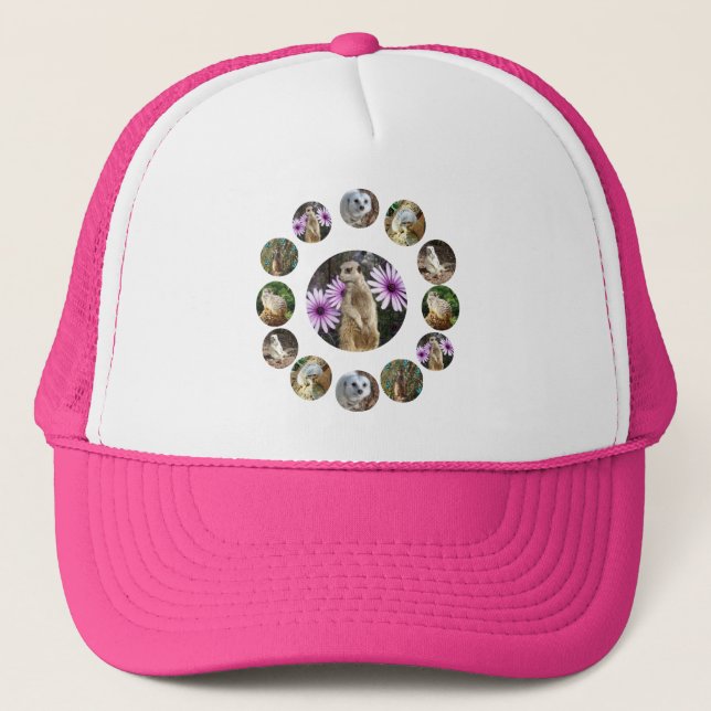 Tretton Meerkats Surprise, Dam Truckers Hat Keps (Framsida)