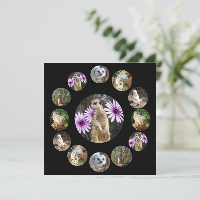 Tretton Meerkats Surprise, Flat Card (Stående Fram)