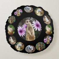 Tretton Meerkats Surprise, Round Cushion
