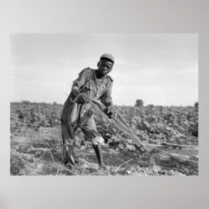 Trettonåring Plowing a Fält i Georgien Poster