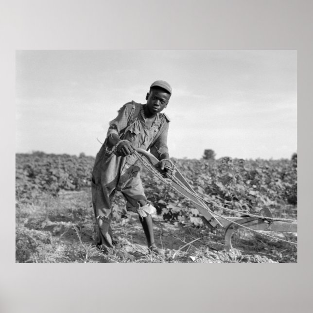 Trettonåring Plowing a Fält i Georgien Poster (Framsidan)