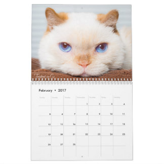 Treudd 2017 kattkalendern kalender