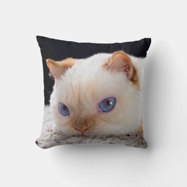 Treudd kattdekorativ kudde (Framsida)