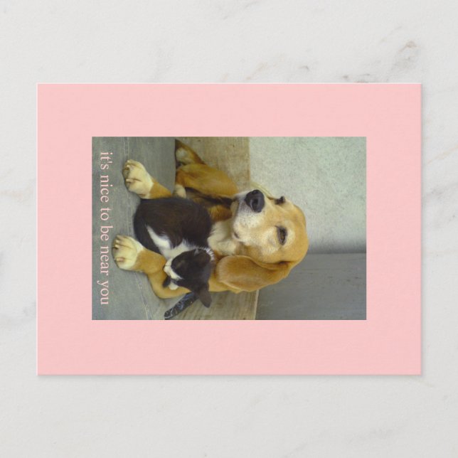 trevlig vykort (Framsida)