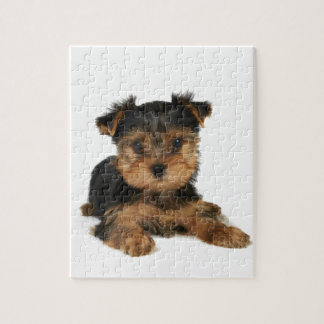 Trevlig yorkie pussel