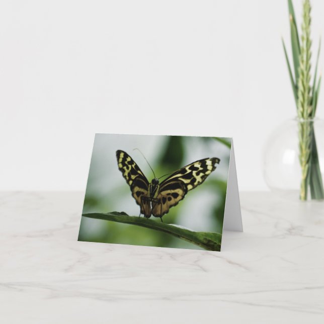 Trevligt att träffa ditt kort (Framsida)