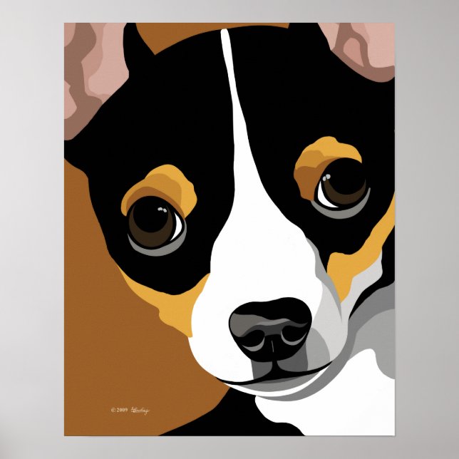 Tri Color chihuahua Poster (Framsidan)