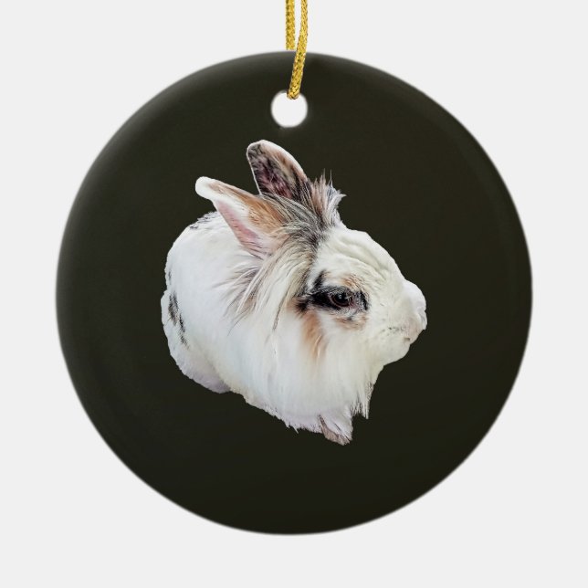 Tri-Color Lionhead Kanin Julgransprydnad Keramik (Framsidan)