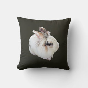 Tri-Color Lionhead Kanin Kudde