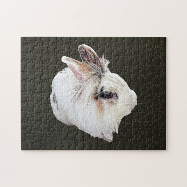Tri-Color Lionhead Kanin Pussel (Horisontell)