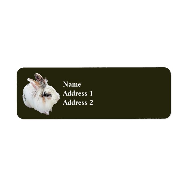 Tri-Color Lionhead Kanin Returadress Etikett (Framsidan)
