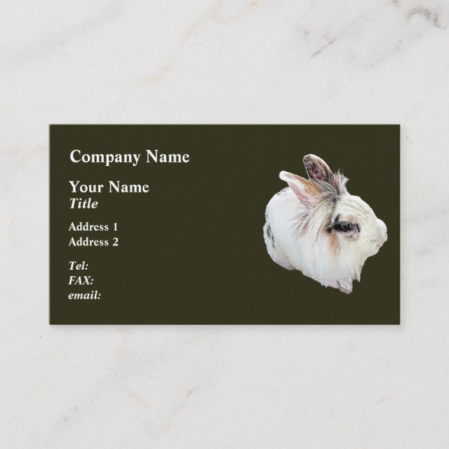Tri-Color Lionhead Kanin Visitkort (Framsida)