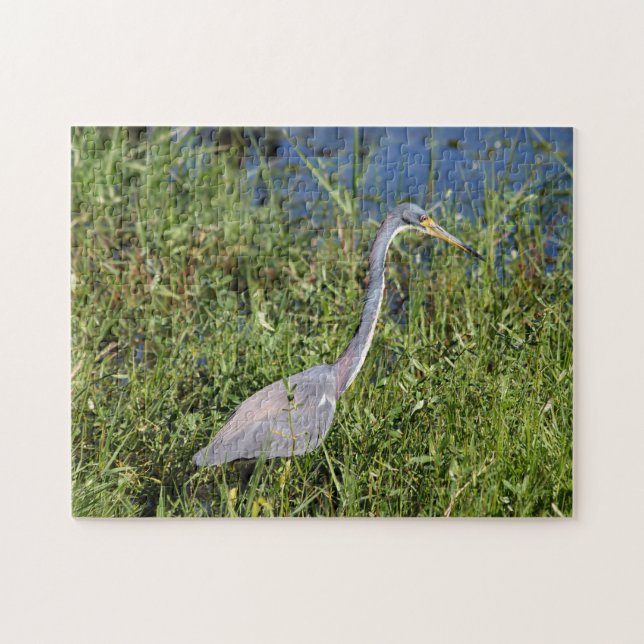 Tri Colored Heron Pussel (Horisontell)