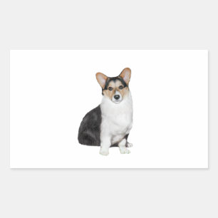 Tri Coor Welsh Corgi Rektangulärt Klistermärke