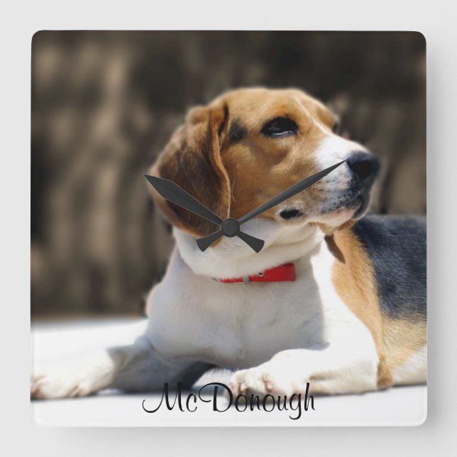 Tri-Färg Beagle Fyrkantig Klocka (Framsida)