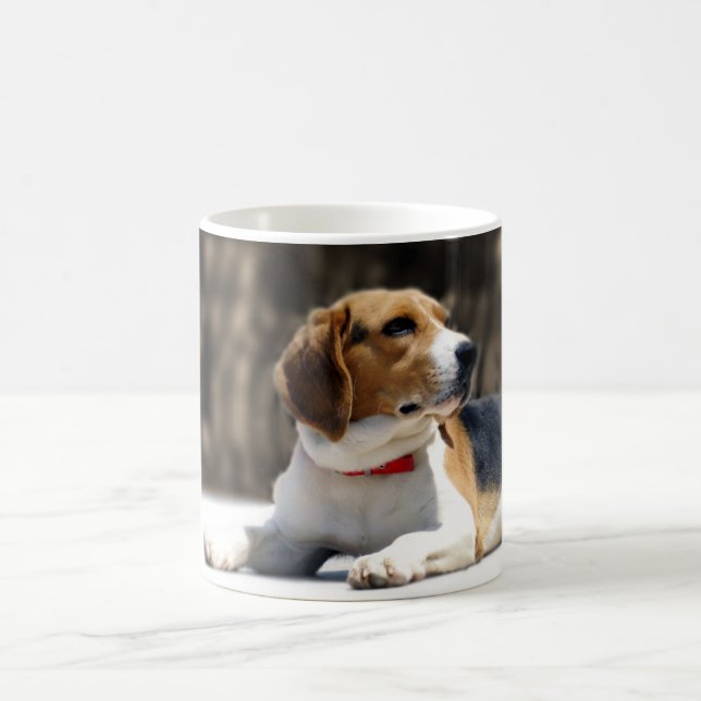 Tri-Färg Beagle Kaffemugg (Center)