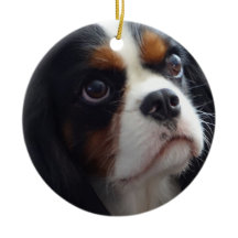 Tri-Färg Cavalier Ceramic Ornament