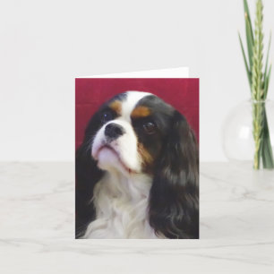 Tri-Färg Cavalier Kung Charles Blank Note Card Kort