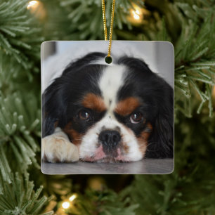 Tri Färg Cavalier Kung Charles Hund Julgransprydnad Keramik