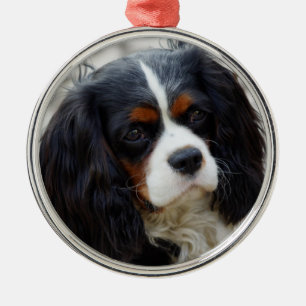 Tri Färg Cavalier Kung Charles Spain Ceramic elle Julgransprydnad Metall