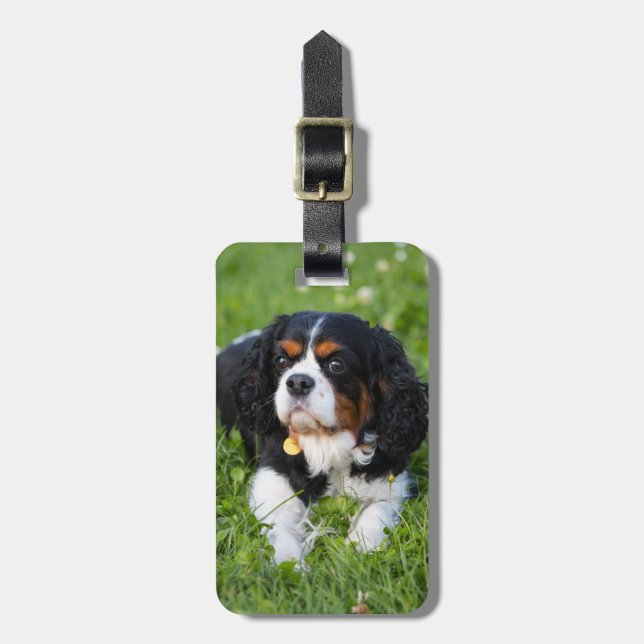 Tri Färg Cavalier Kung Charles Spain Hund Bagagebricka (Vertikal Framsida)
