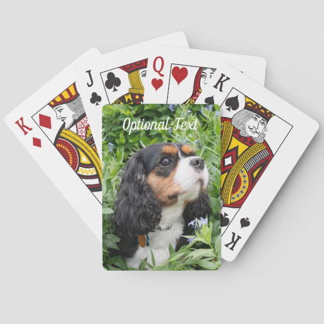 Tri Färg Cavalier Kung Charles Spain Hund Casinokort (Baksidan)