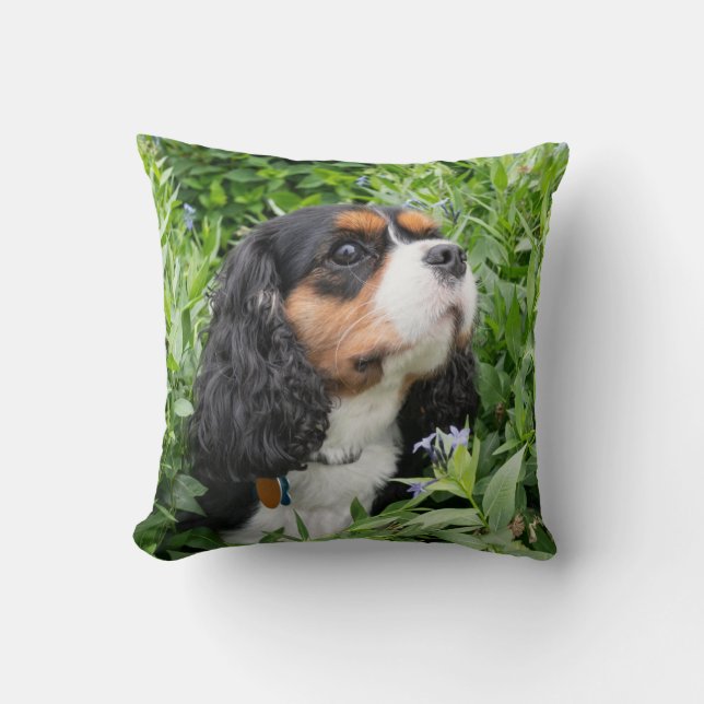 Tri Färg Cavalier Kung Charles Spain Hund Kudde (Framsida)