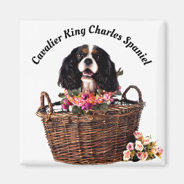 Tri Färg Cavalier Kung Charles Spain Hund Magnet