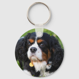 Tri Färg Cavalier Kung Charles Spain Hund Nyckelring