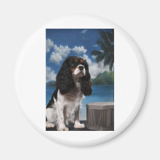 Tri färg Cavalier Kung Charles Spain Magnet