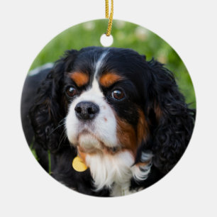 Tri Färg Cavalier Kung Charles spanjor Julgransprydnad Keramik