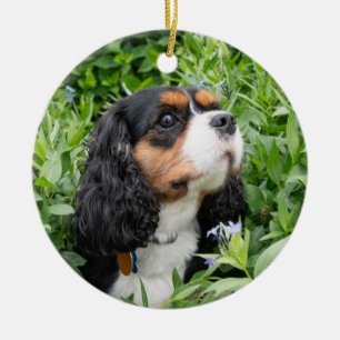 Tri Färg Cavalier Kung Charles spanjor Julgransprydnad Keramik