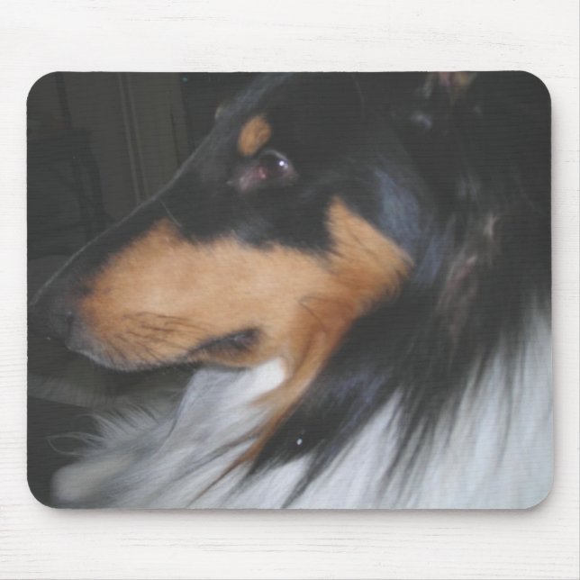 Tri-färg Collie i djupet tänkande Musmatta (Framsidan)