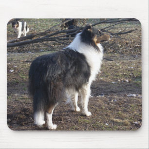 Tri-färg Collie Musmatta