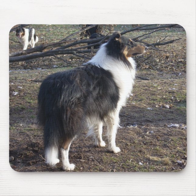 Tri-färg Collie Musmatta (Framsidan)