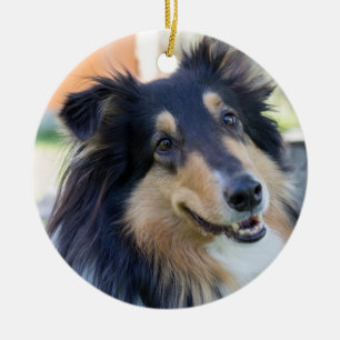 Tri Färg Collie Puppy Hund Julgransprydnad Keramik