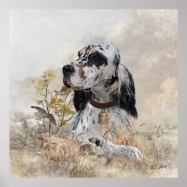 Tri Färg English Setter Art, woodcock Hunting Poster (Framsidan)
