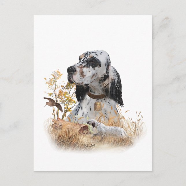 Tri Färg English Setter Art, woodcock Hunting Vykort (Framsida)