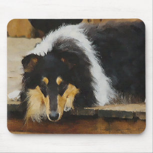 Tri-Färg grova Colliegåvor Musmatta