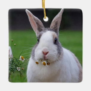 Tri Färg holländska Dwarf Mini Bunny Rabbit Julgransprydnad Keramik