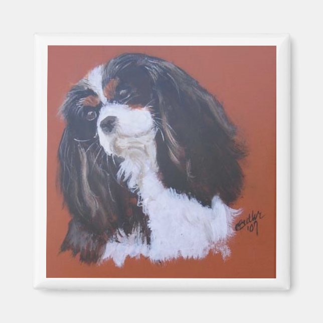 Tri-färg Kung Charles Cavalier Magnet (Framsidan)