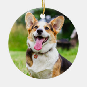 Tri Färg Pembroke Welsh Corgi Puppy Hund Julgransprydnad Keramik