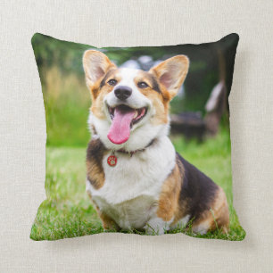 Tri Färg Pembroke Welsh Corgi Puppy Hund Kudde