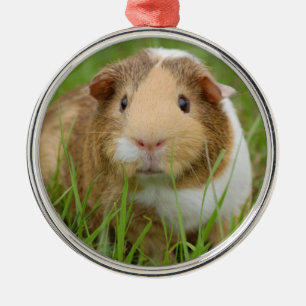 Tri Färg Pet Guinea Gris Julgransprydnad Metall