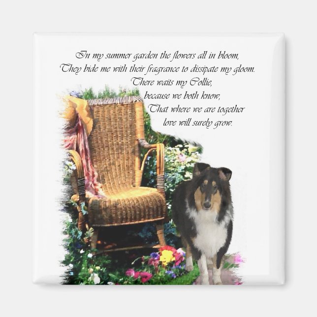 Tri-Färg Rough Collie Art Gifts Magnet (Framsidan)