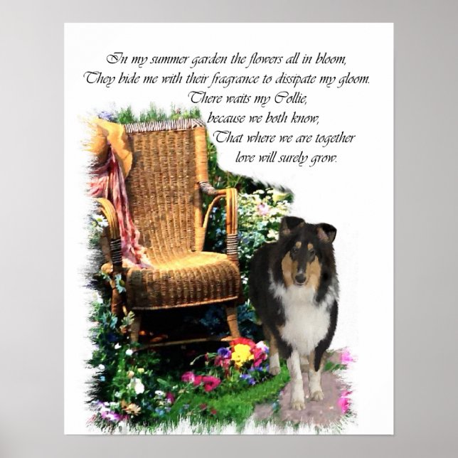 Tri Färg Rough Collie Art Print Poster (Framsidan)