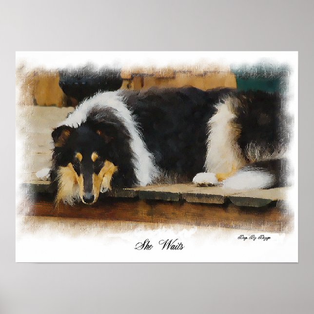 Tri Färg Rough Collie Gifts Art Poster (Framsidan)