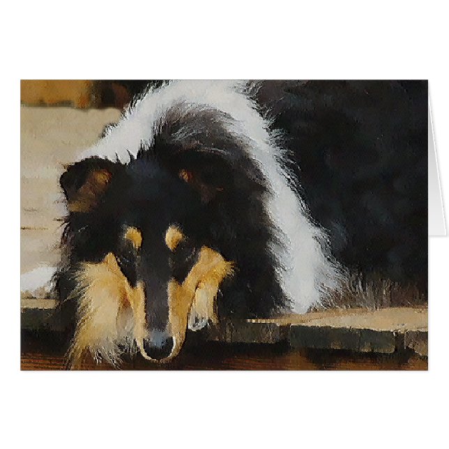 Tri-Färg Rough Collie Gifts Hälsningskort (Framsidan Horizontal)