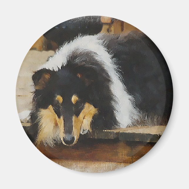 Tri-Färg Rough Collie Gifts Magnet (Framsidan)